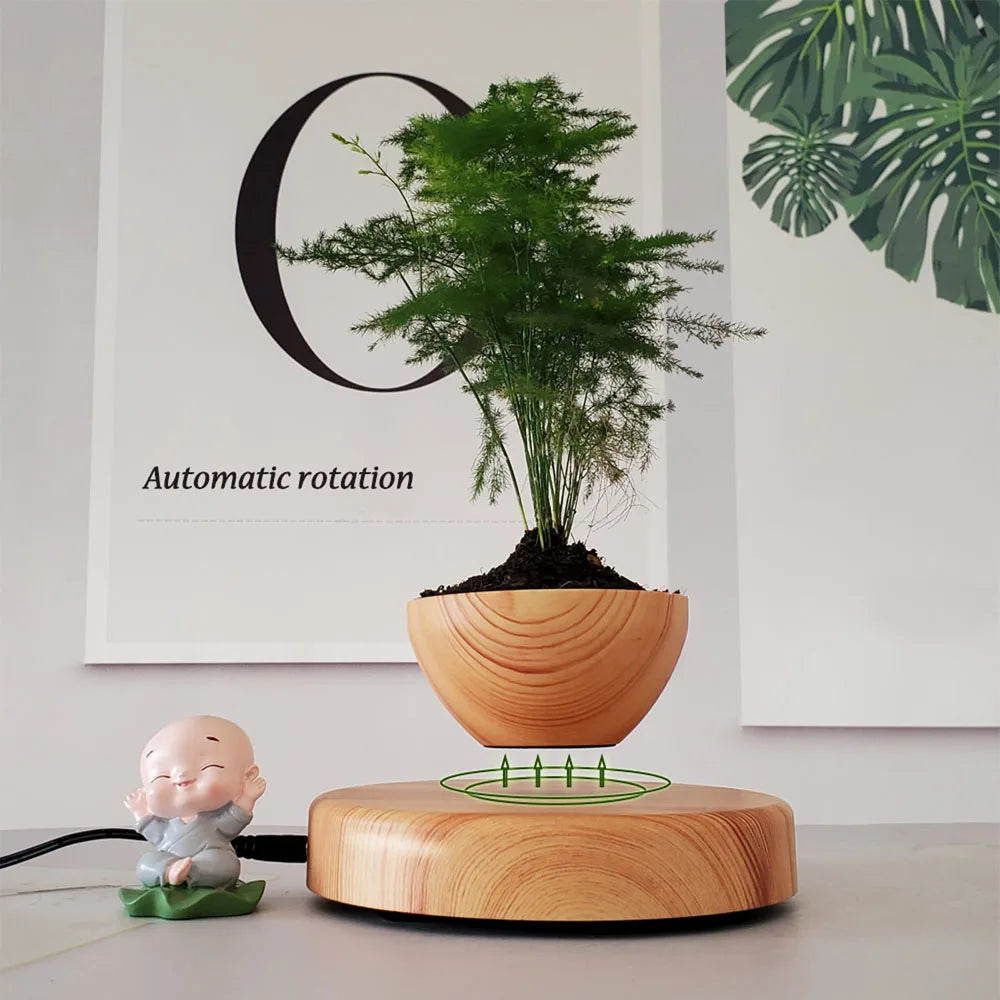 Levitating Bonsai Pots