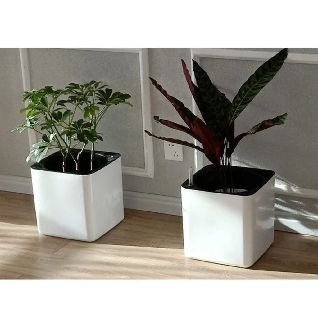 Automatic Self-Watering Pots