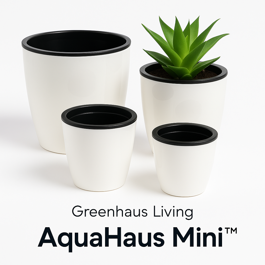 AquaHaus Mini™ Self-Watering Planter (White)