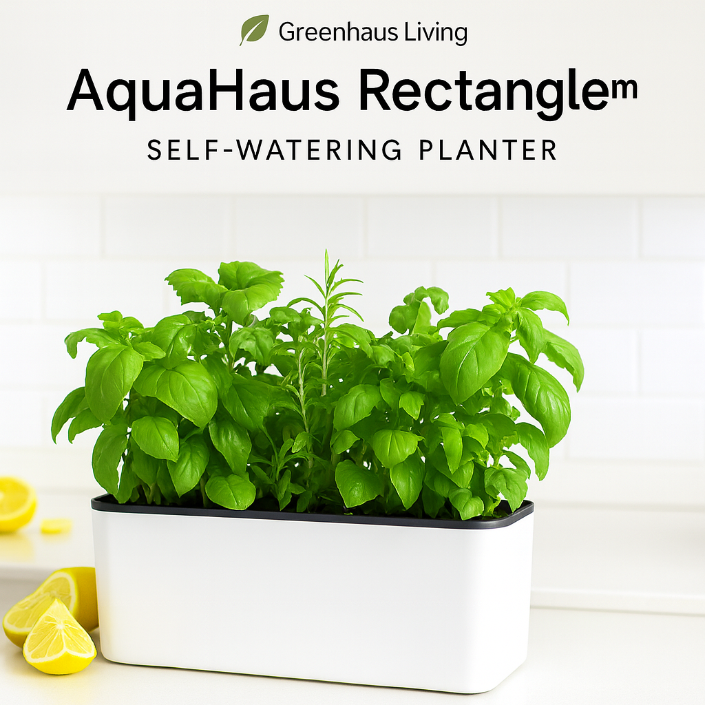 AquaHaus Rectangle™ Self-Watering Planter
