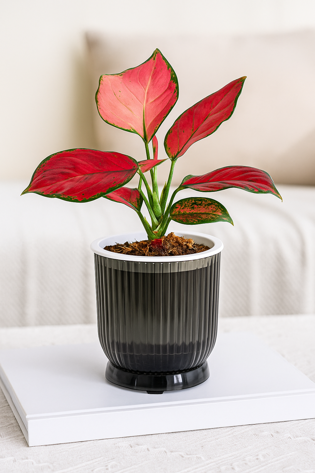 ClearView Hydro Pot