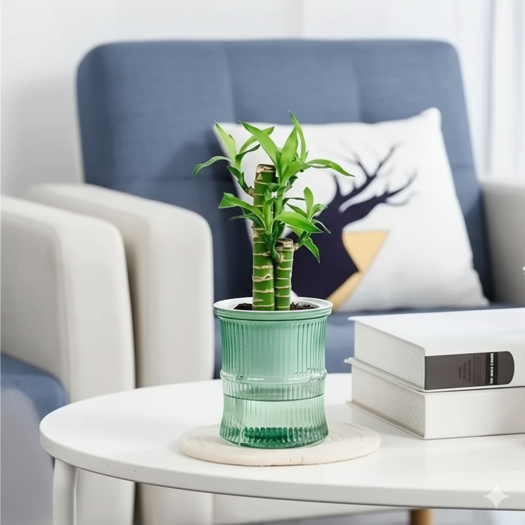 HydroEase Self-Watering Planter