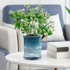 HydroEase Self-Watering Planter