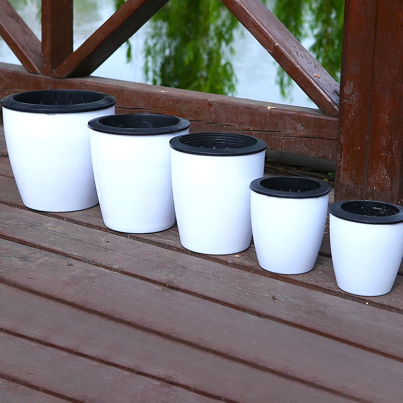 AquaHaus Mini™ Self-Watering Planter (White)