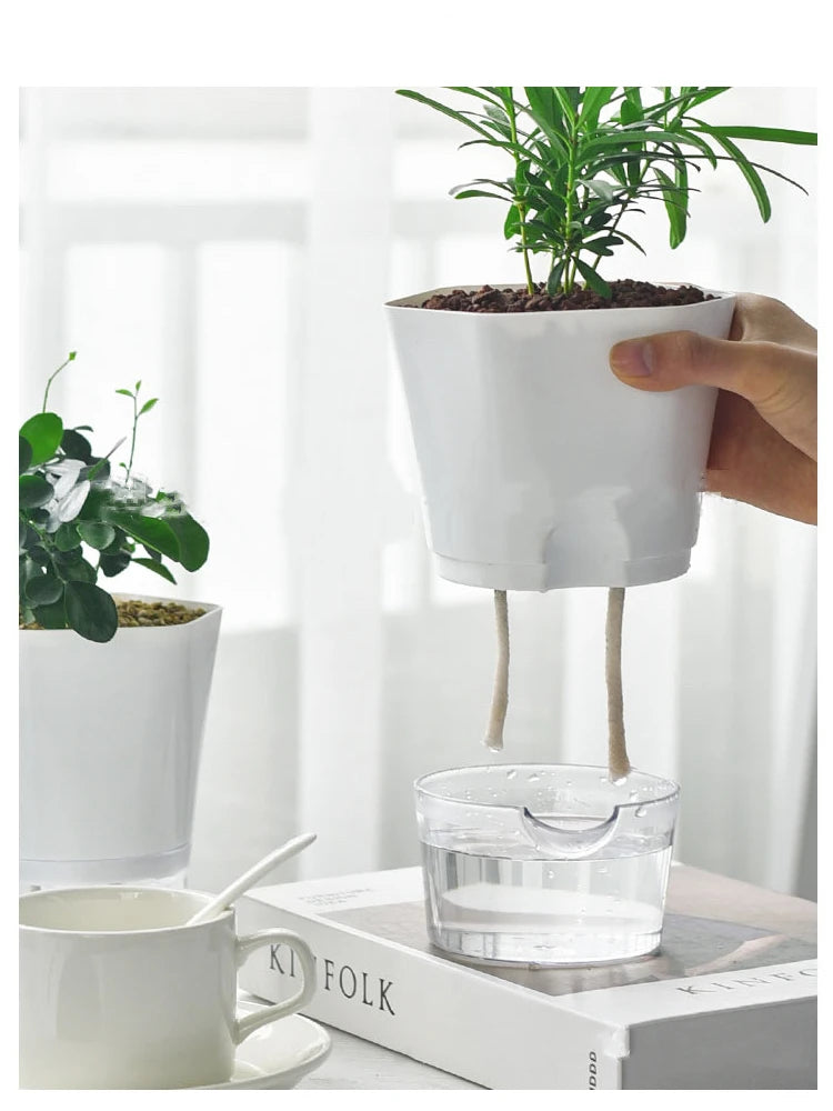 Hydroponic Pot with Water Reservoir