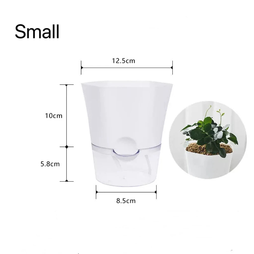 Hydroponic Pot with Water Reservoir