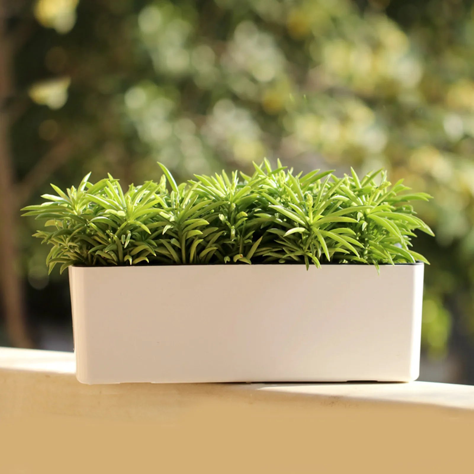 AquaHaus Rectangle™ Self-Watering Planter