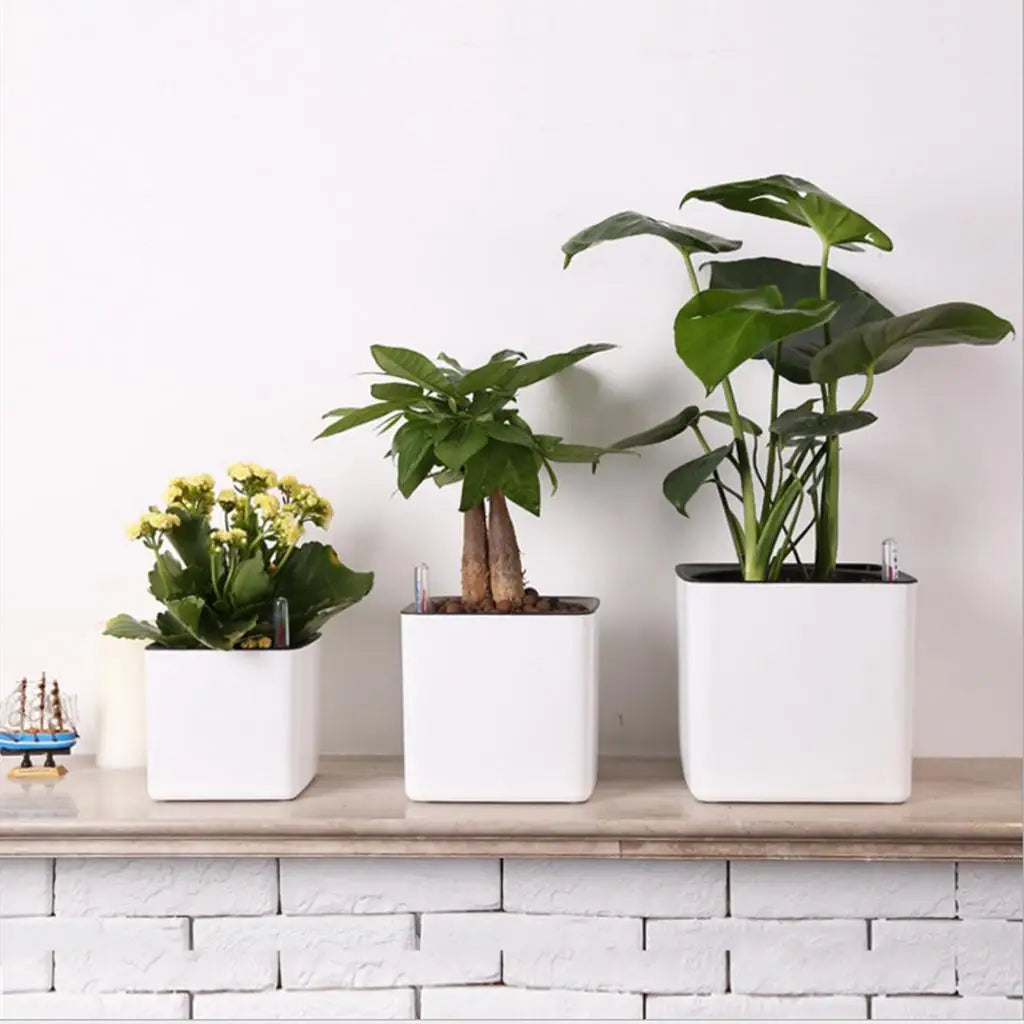 AquaHaus Pure™ – Modern White Self-Watering Planter