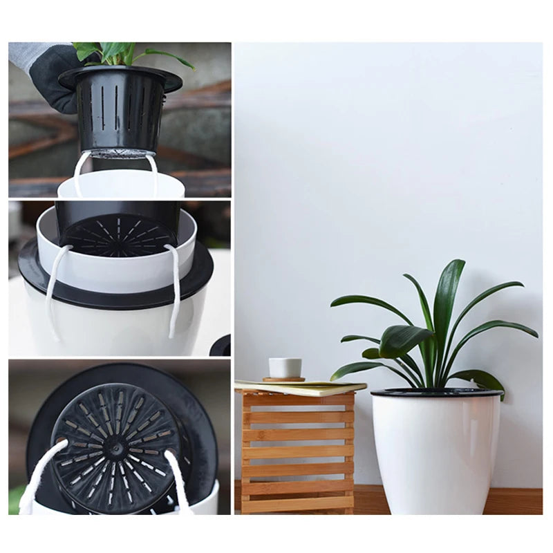 AquaHaus Mini™ Self-Watering Planter (White)