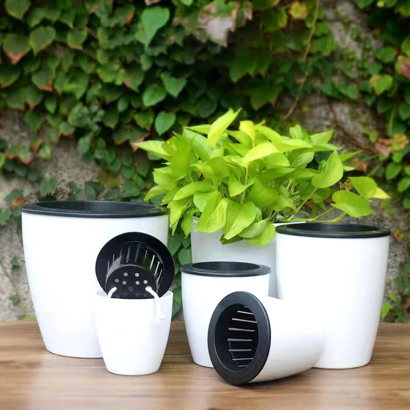 AquaHaus Mini™ Self-Watering Planter (White)